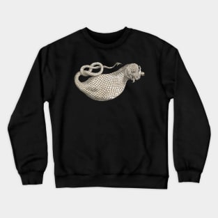 The Boas Crewneck Sweatshirt